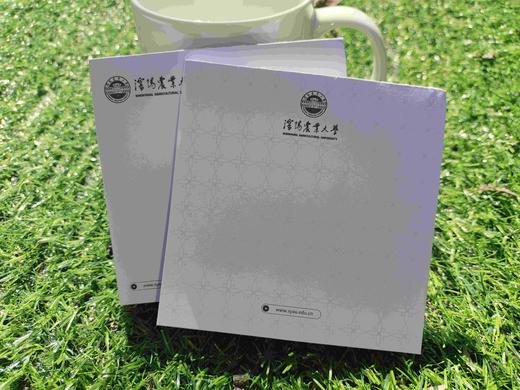 syau沈农信纸（国槐绿） 商品图4