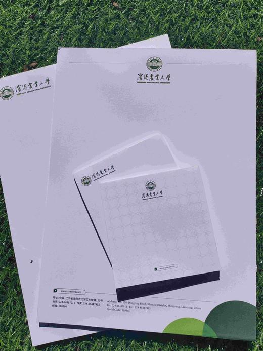 syau沈农信纸（国槐绿） 商品图3