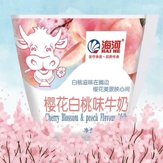 海河 樱花白桃味牛奶 220ml 商品图0