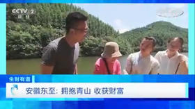 央视财经频道《生财有道》 2020.08.26 安徽东至：拥抱青山 收获财富