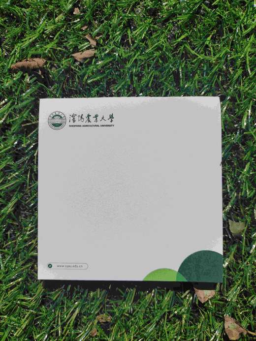 syau沈农信纸（国槐绿） 商品图1