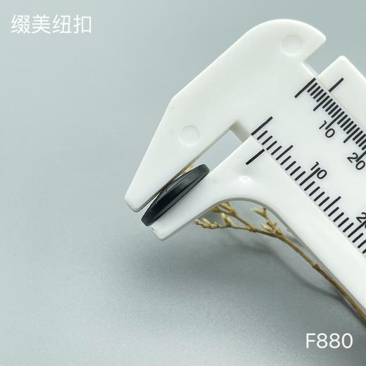 F880(整包购买) 商品图3