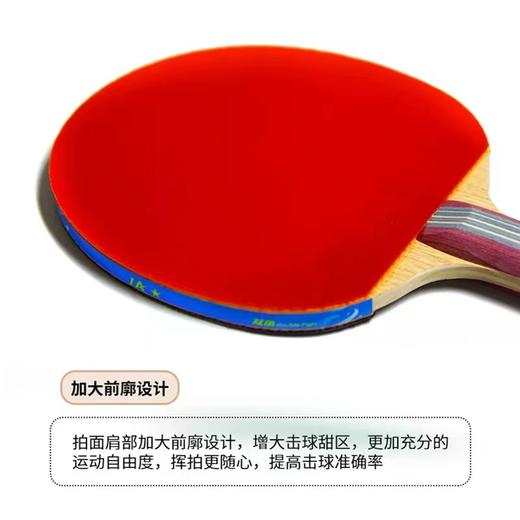 1A+乒乓球拍双鱼单拍横拍长柄兵乓球拍直拍短柄初学儿童兵兵球拍1支 商品图4