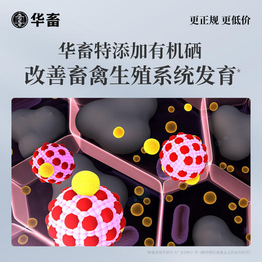 华畜兽用 酵母硒VE250g 维生素e饲料添加剂 特添加有机硒 提高发情率 增加产仔头数 商品图3