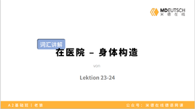【词汇】在医院-身体构造丨L23/24