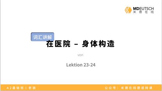 【词汇】在医院-身体构造丨L23/24 商品图0