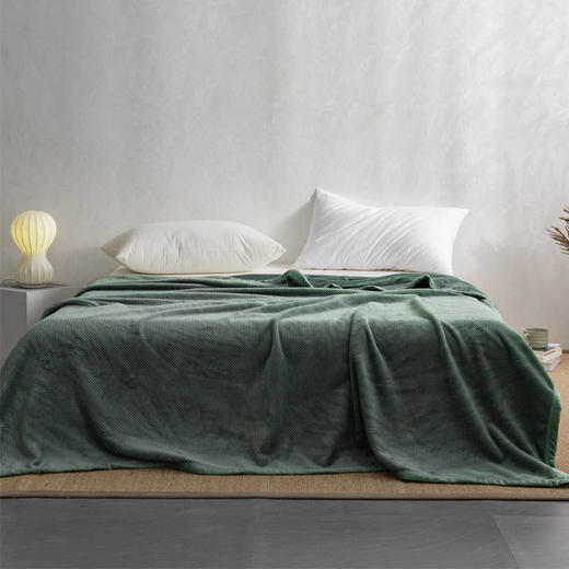 利路米四季多用 时尚菠萝纹毯 可盖可垫 保暖舒适 200*230CM 商品图2