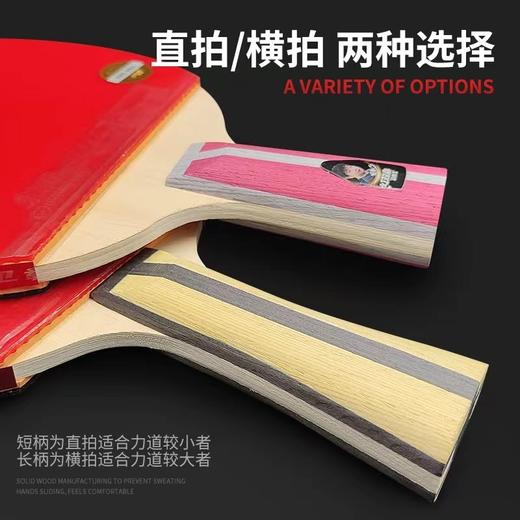 DHS红双喜新三星3星成品乒乓球拍1只单拍横拍直拍3002 3006双面反胶学生儿童初学者 商品图3