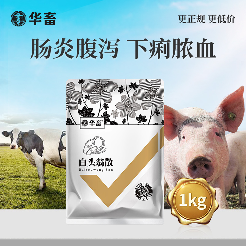 华畜白头翁散1kg  肠炎腹泻 凉血止痢 严选中药材 效果更好 禽畜通用黄白痢中药