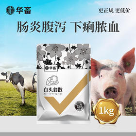 【社群专享】白头翁散1kg  肠炎腹泻 凉血止痢 严选中药材 效果更好 禽畜通用黄白痢中药