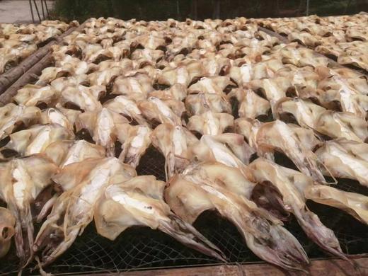 本港墨鱼干(淡晒） 商品图1