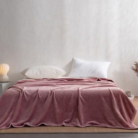 利路米四季多用 时尚菠萝纹毯 可盖可垫 保暖舒适 200*230CM