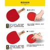 1A+乒乓球拍双鱼单拍横拍长柄兵乓球拍直拍短柄初学儿童兵兵球拍1支 商品缩略图6