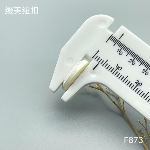 F873(整包购买) 商品图7