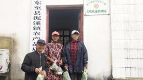 尔岛椀菜生鲜农产品重金属残留检测