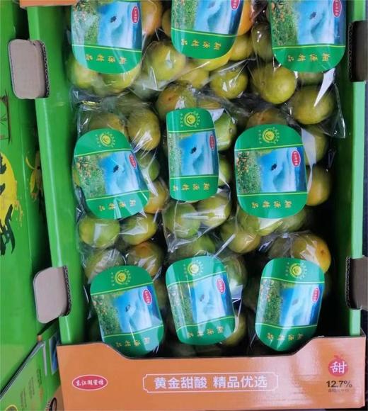 东江湖蜜橘| 水果 商品图1