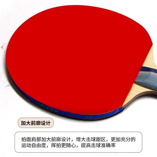 双鱼乒乓球拍单拍3A+E直拍短柄3A+C横拍长柄新三星单拍初学者乒乓球拍7层底板1支 商品图3