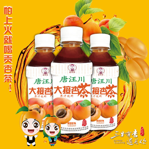 唐汪贡杏茶 商品图2