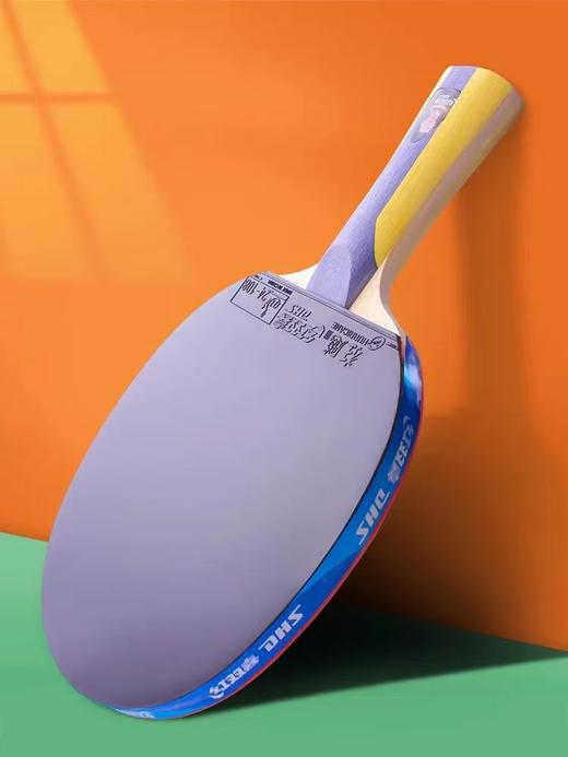 DHS红双喜新五星5星专业级全能型乒乓球拍1只单拍横拍长柄5002直拍短柄5006双面反胶 商品图3