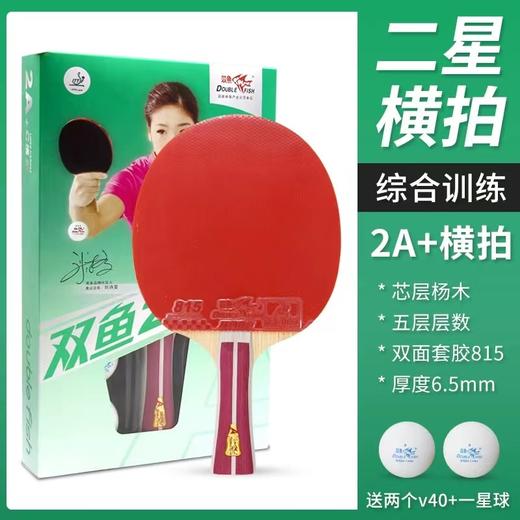 双鱼乒乓球拍单拍2A+E直拍短柄横拍长柄2A+C新二星单拍初学者乒乓球拍五层底板1支 商品图2