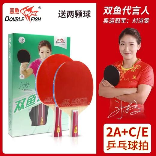 双鱼乒乓球拍单拍2A+E直拍短柄横拍长柄2A+C新二星单拍初学者乒乓球拍五层底板1支 商品图0