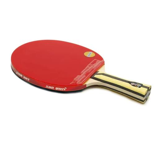 DHS红双喜新四星4星成品乒乓球拍1只单拍横拍长柄4002直拍短柄4006双面反胶学生儿童初学者 商品图5