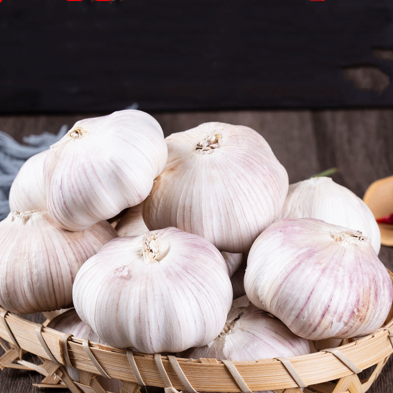 白皮大蒜 200g