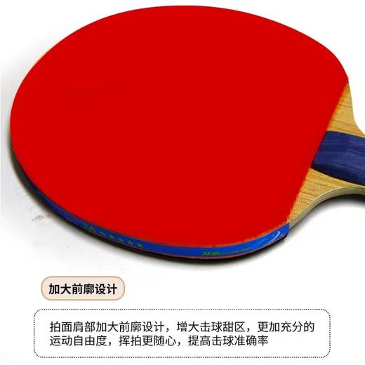 双鱼乒乓球拍单拍5A+E直拍短柄横拍长柄5A+C新五星单拍乒乓球拍7层底板1支 商品图5