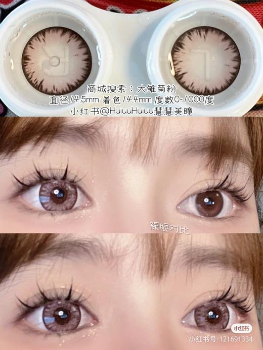 【大直径】大雏菊粉-14.5mm【年抛0-1000度 含525/575】 商品图2