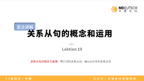 【语法】关系从句的概念和运用丨L19