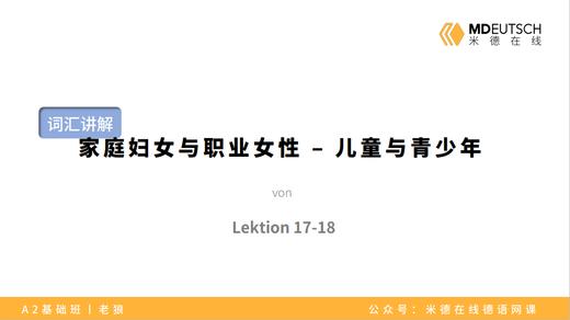 【词汇】家庭妇女与职业女性-儿童与青少年丨L17/18 商品图0