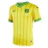 SFS荷马JOMA 22/23诺维奇主场球员版球衣短袖足球服3125FPB2006 商品缩略图4