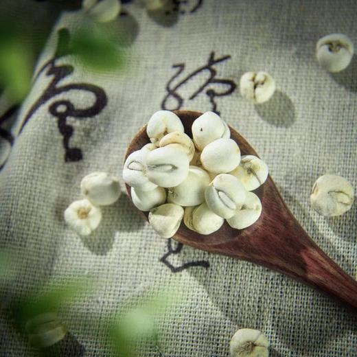 【养茶精选】四川阿坝•川贝母 精选四川纯开然贝母 天然无硫 入口微苦 带回甘 秋季干燥 煮一壶入口秋味甜哦 商品图5