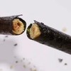谷瑞滋 海苔脆脆卷 袋装120g 肉松味 商品缩略图4