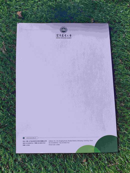 syau沈农信纸（国槐绿） 商品图0