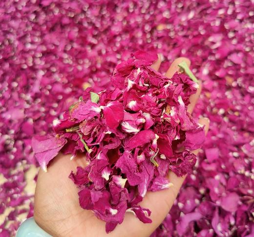 高原生态玫瑰花 商品图2