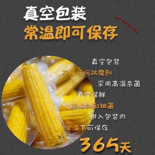 【内蒙古糯玉米】有黄白黑三种玉米可选！口感香甜软糯，好吃又营养！非转基因，热量低，饱腹的健康粗粮！农作物属于天然生长，个头大小会有不同！【NLT-J仓】 商品图7