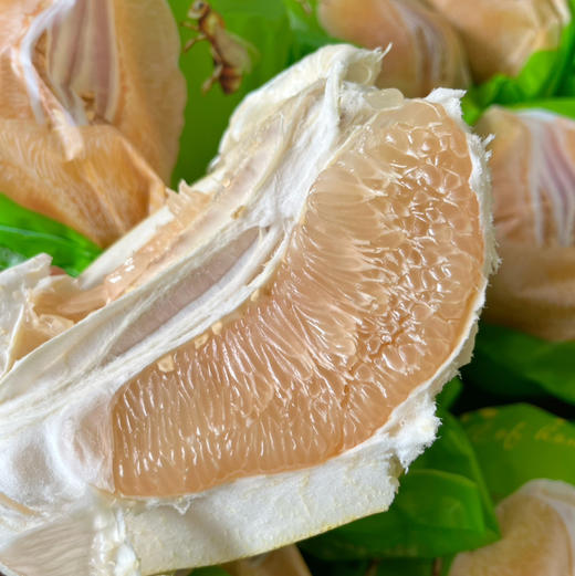 【沙地黄柚】国产柚,黄柚水分普标比红柚好,嫩度高,三高人群也很适合