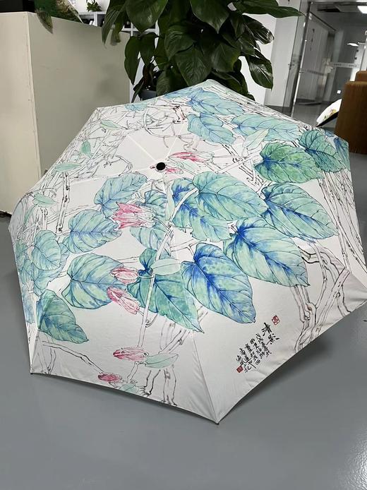 清影伞 商品图0