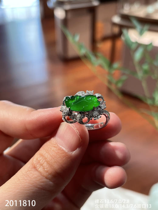 2011810，海豚戒指。具体价格微信咨询 商品图8