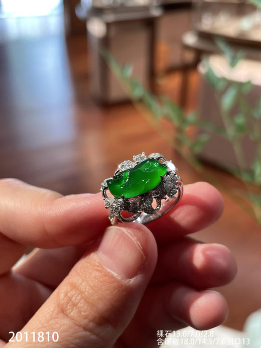 2011810，海豚戒指。具体价格微信咨询 商品图1