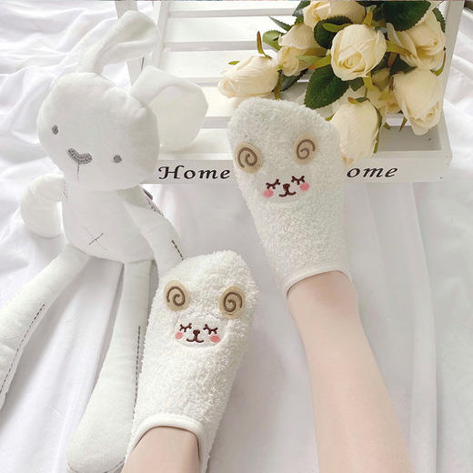 珊瑚绒可爱保暖地板袜秋冬加绒加厚卡通睡眠袜居家防滑空调袜子女 商品图2