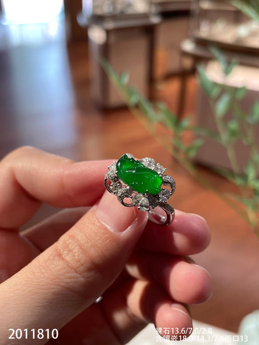 2011810，海豚戒指。具体价格微信咨询 商品图0