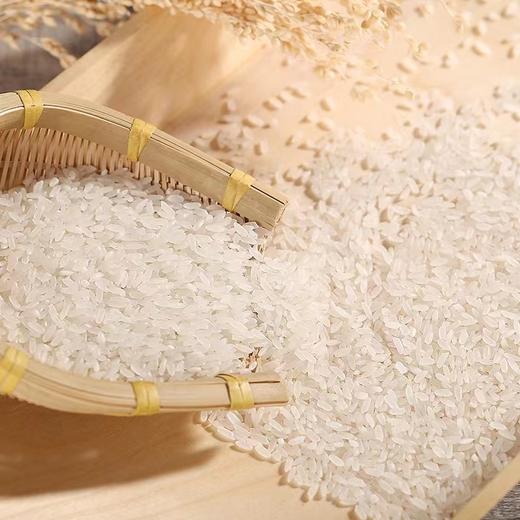 团购丨赞字村·五常大米（民乐产区）丨下单次日发货 商品图1