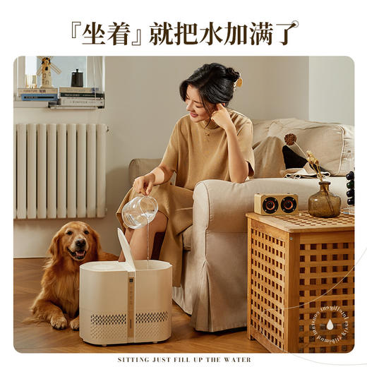 【大宇】纯净型加湿器PH01奶糖白 PH01-NTB 商品图4