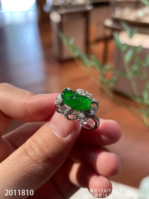 2011810，海豚戒指。具体价格微信咨询 商品图6