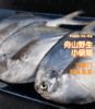 正宗舟山野生 银鲳/鲳鱼 码头直发 一手货源 商品缩略图0