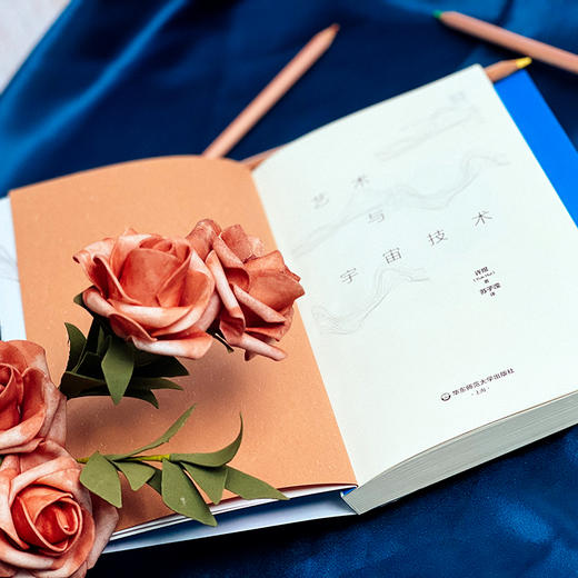 艺术与宇宙技术 哲学研究 哲学思想研究 六点图书 递归与偶然 续篇 许煜著 苏子滢 译 商品图6