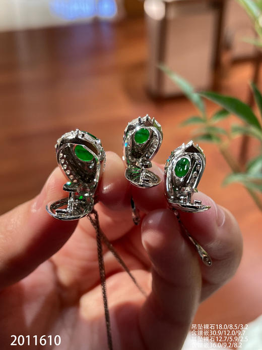 2011610，福豆套装。具体价格微信咨询 商品图7