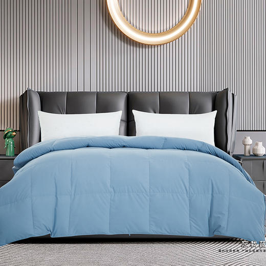 鑫缘 奢绒系列大朵白羽绒被 EYPQ0420/ EYPQ0820 商品图1